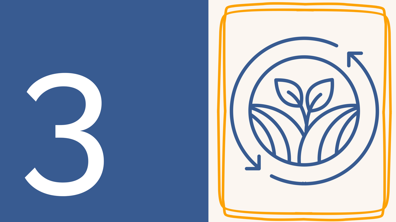 Module 3 – Coaching Methodologies in Youth Work